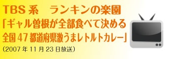 「ギャル曽根が全部食べて決める 全国47都道府県激うまレトルトカレー」